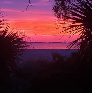 Meet your Posher, Sherry